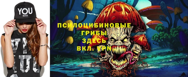 МДПВ Волоколамск