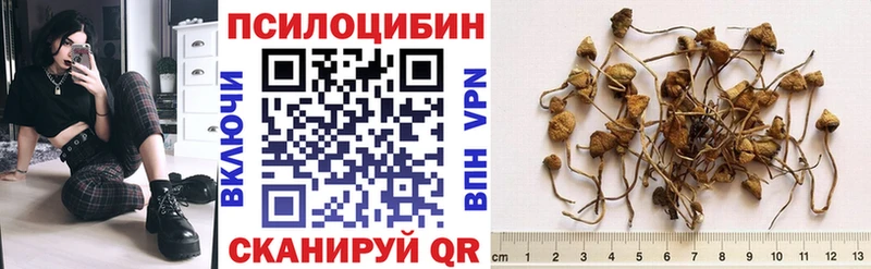 Купить закладки  Норильск  Галлюциногенные грибы прущие грибы 